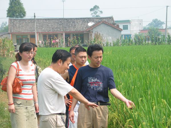 马均:躬耕青青田园,只为稻花飘香|四川优秀教师典型代表风采