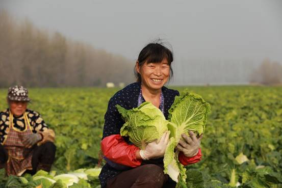 苏果庆祝首届"中国农民丰收节",200多家门店上架特色农产品