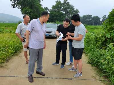 暴雨后县农技专家及时深入田间指导