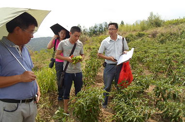 区科技特派员组织参与富民强镇科技服务活动