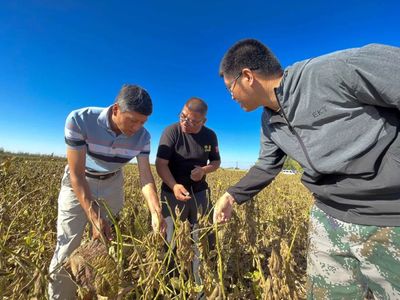 踏上新征程 赶考再出发 | 十师农科所科技特派员:服务田间地头 助力乡村振兴